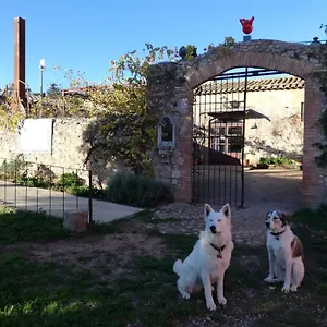 3* Bed and breakfast Mas Del Llop Blanc - Dog Friendly Rural -